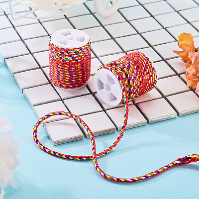 2 Rolls Multi-Color Decorative Nylon Twisted Cord NWIR-TADJ0001-04C-1