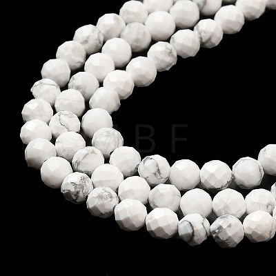 Natural Howlite Beads Strands G-E608-A01-C-1