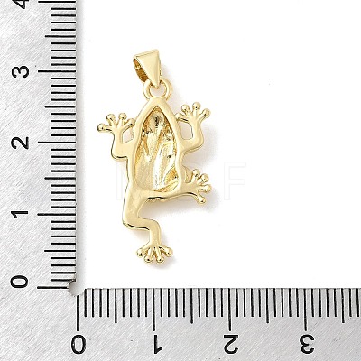 Frog Charms Brass Pendants KK-H529-48G-1