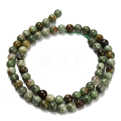 Natural Green Opal Beads Strands G-L642-B14-6mm-1