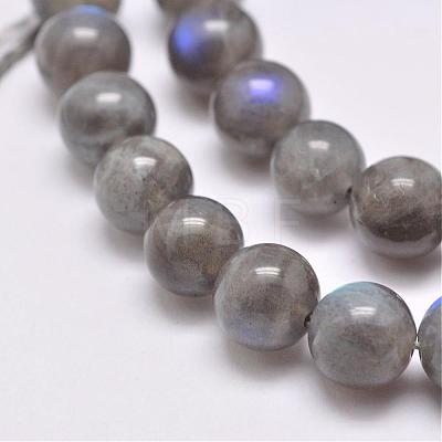 Natural Labradorite Beads Strands G-D864-11-6mm-1