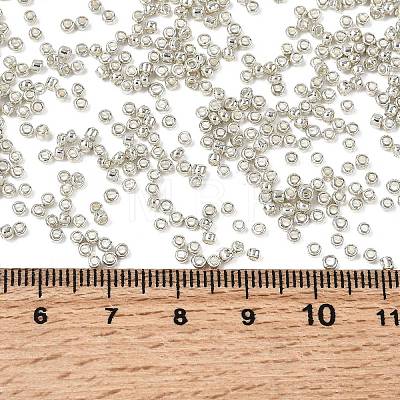 12/0 Electroplate Glass Seed Beads SEED-Q003-S-1