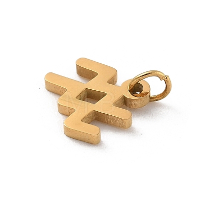 304 Stainless Steel Charms STAS-R001-04G-11-1