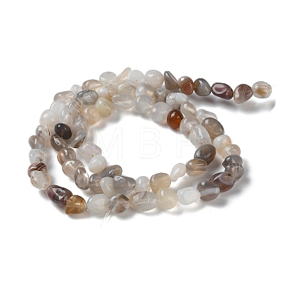 Natural Botswana Agate Beads Strands G-D081-A03-1