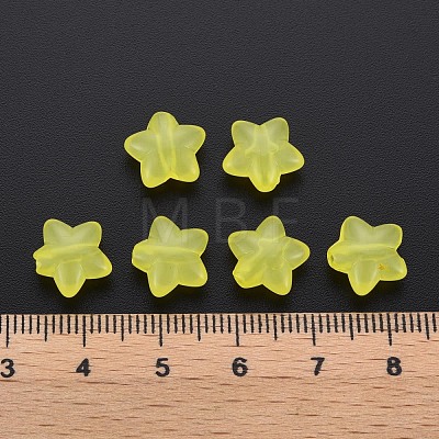 Transparent Acrylic Beads MACR-S373-26E-09-1