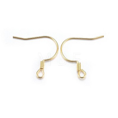 304 Stainless Steel Earring Hooks STAS-P210-19G-1