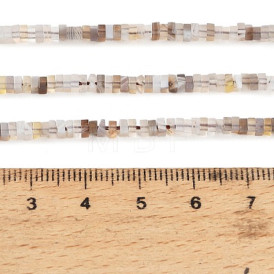 Natural Botswana Agate Beads Strands GG-CBA2498-C06-01-1