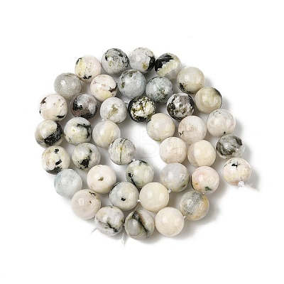 Natural Rainbow Moonstone Beads Strands G-H093-B01-10MM-1