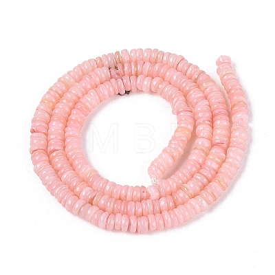Natural Freshwater Shell Beads Strands SHEL-Q028-01D-1