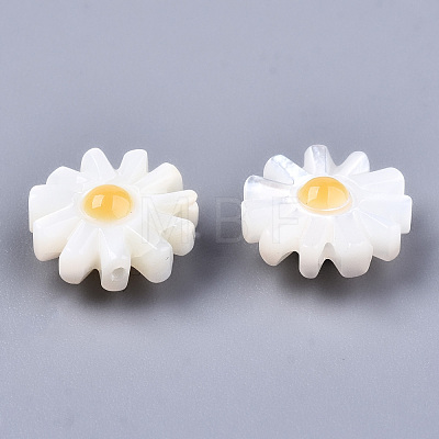 Natural White Shell Mother of Pearl Shell Beads SHEL-S266-13A-1
