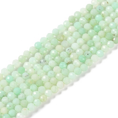 Natural Chrysoprase Beads Strands G-P542-A04-02-1