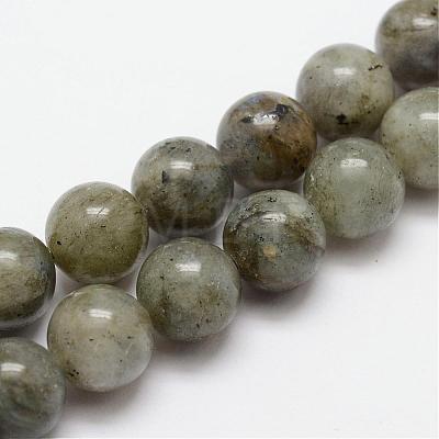 Natural Labradorite Bead Strands G-O155-05B-10mm-1