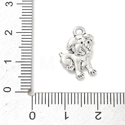 Tibetan Style Alloy Pendants PALLOY-A037-03G-AS-1