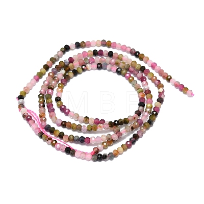 Natural Tourmaline Beads Strands G-G106-A05-01-1