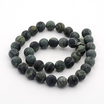 Frosted Natural Kambaba Jasper Beads Strands G-M272-13-10mm-1