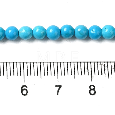 Dyed Natural Magnesite Beads Strands G-Q181-B01-01-1