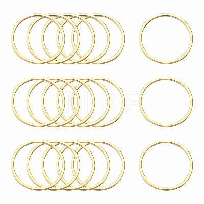 Ion Plating(IP) 304 Stainless Steel Linking Ring X-STAS-S079-13-B01-NF-1