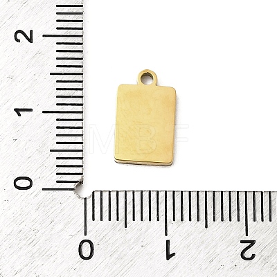 304 Stainless Steel Enamel Charms STAS-I336-22G-1