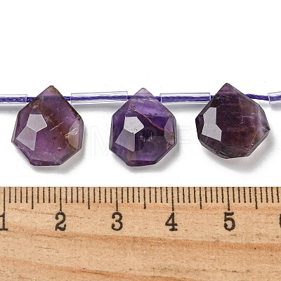 Natural Amethyst Beads Strands G-P544-C01-01-1