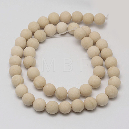 Natural Fossil Beads Strands X-G-D694-4mm-1