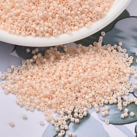MIYUKI Delica Beads SEED-JP0008-DB1492-1