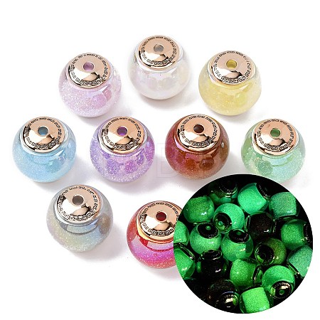 Opaque Luminous Resin & CCB Plastic Beads RESI-G119-15C-1