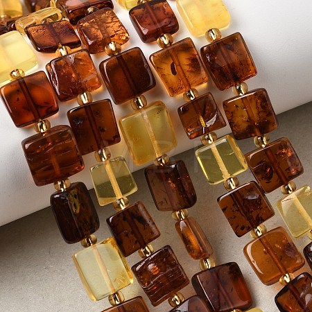 Natural Amber Beads Strands G-C260-A01-05-1