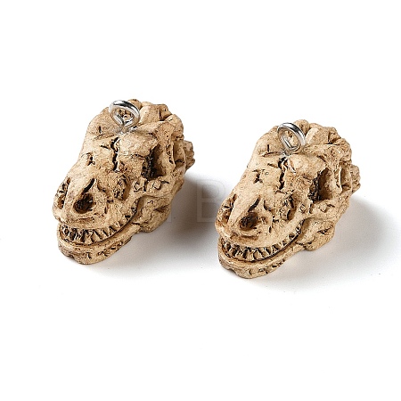 Skull Theme Opaque Resin Pendants RE-CBA4F9B-05C-1