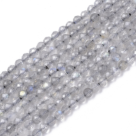 Natural Labradorite Beads Strands G-S361-2mm-010-1