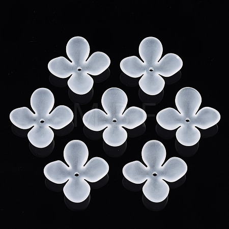 Transparent Acrylic Beads FACR-N005-003-1
