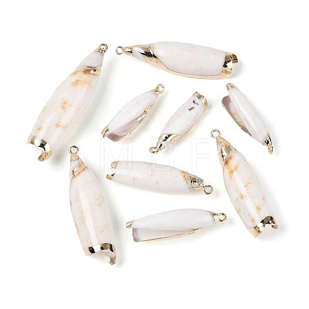 Electroplate Natural Shell Big Pendants SSHEL-N042-11-1