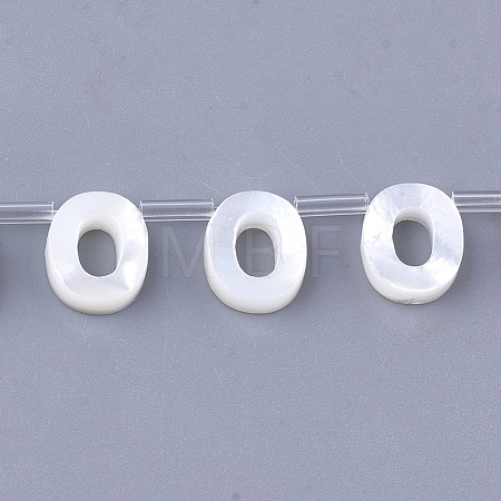 Natural Sea Shell Beads SHEL-T012-60O-1