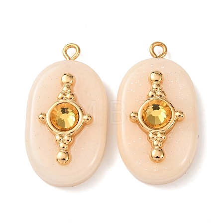 304 Stainless Steel Resin Pendants STAS-F352-01G-02-1