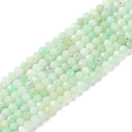 Natural Chrysoprase Beads Strands G-P542-A04-02-1