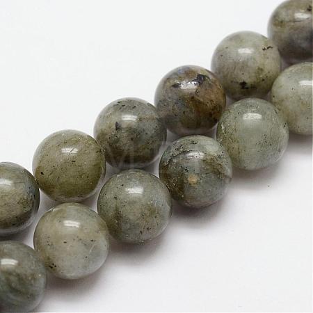 Natural Labradorite Bead Strands G-O155-05B-10mm-1