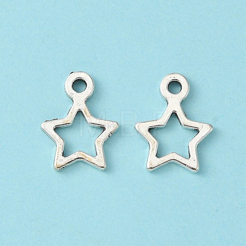 Tibetan Style Alloy Charms LF10686Y-1