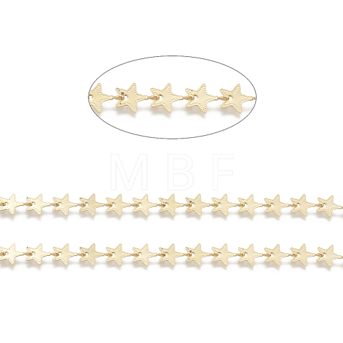 Brass Handmade Beaded Chains CHC-I031-24G-1