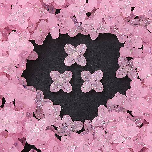 Frosted Transparent Acrylic Beads OACR-P029-09B-01-1