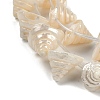 Natural Shell Beads Strands X-SHEL-K009-11-3