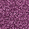 MIYUKI Delica Beads SEED-J020-DB2181-3