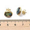 3 Pairs Flat Round Natural Paua Shell Stud Earrings for Women EJEW-JE07126-5