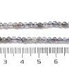 Natural Labradorite Beads Strands G-G188-B11-01-5