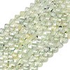 Natural Prehnite Beads Strands G-P611-C33-01-2