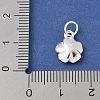 S925 Sterling Silver Charm STER-H115-11B-S-3