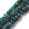 Natural Agate Beads Strands G-C039-F03-1