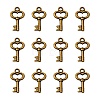 Gifts Ideas for Her Tibetan Style Alloy Charms LS-MLF11975Y-NF-1