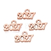 New Year's Day Alloy Charms FIND-N014-01RG-1