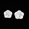 Natural Freshwater Shell Cabochons SHEL-N026-183-2