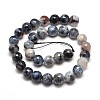 Dyed Natural Agate Faceted Round Beads Strands G-E269-06-3