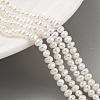 Natural Cultured Freshwater Pearl Beads Strands PEAR-C003-11B-2